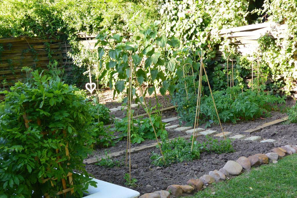 The Cottage On 55 Franschhoek Esterno foto